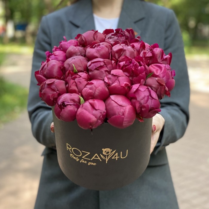 25 пионов Канзас в коробке